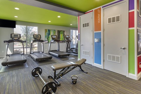A gym with treadmills, exercise bikes, and weights.