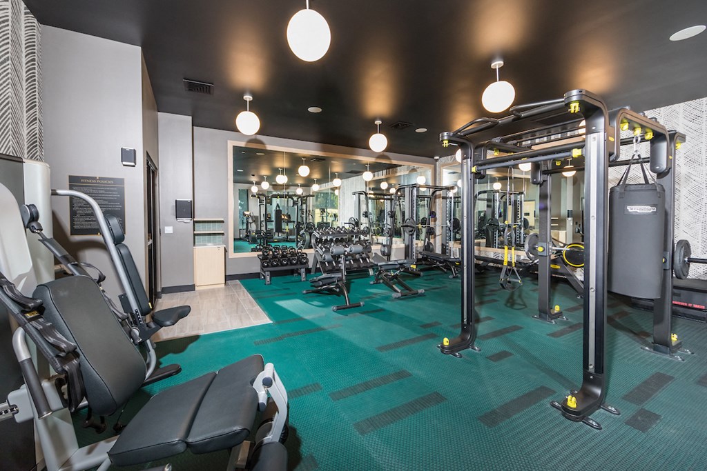 Fully equipped gym with weight machines, cardio machines, free weights, and punching bag