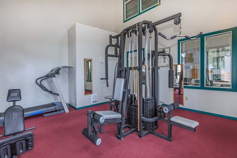 Fitness center with weight machines, cardio machines, and vibrant red carpet.