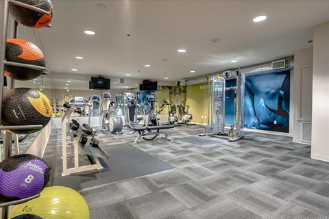 A modern gym interior featuring various fitness equipment, including treadmills, weight machines, and exercise mats. The walls are painted in warm tones, and there's a section with colorful medicine balls displayed. The space is bright and inviting for workouts.
