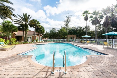 A swimming pool surrounded by palm trees and lounge chairs.