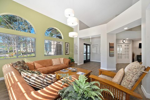 A living room with a couch and a potted plant.