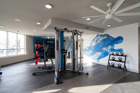 A gym with a blue and white wall mural and a variety of equipment.