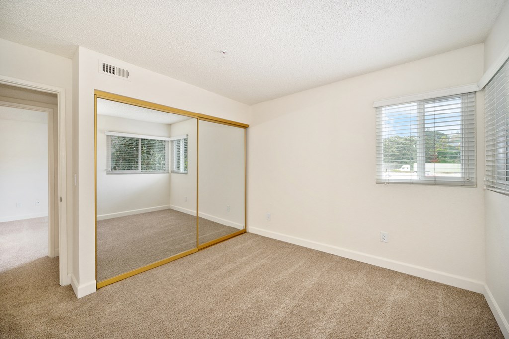 an empty bedroom with a mirror and a closet
