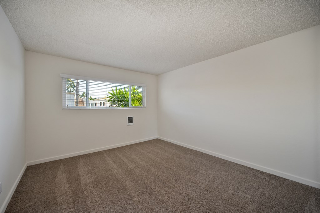 an empty room with carpet and a window