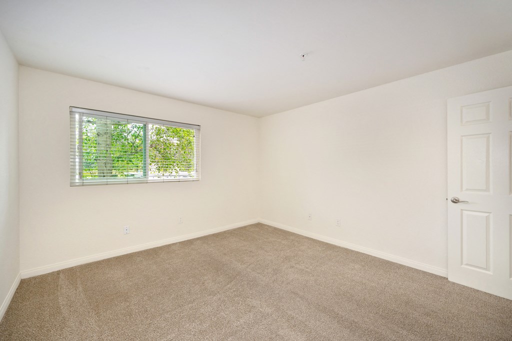 an empty room with carpet and a window