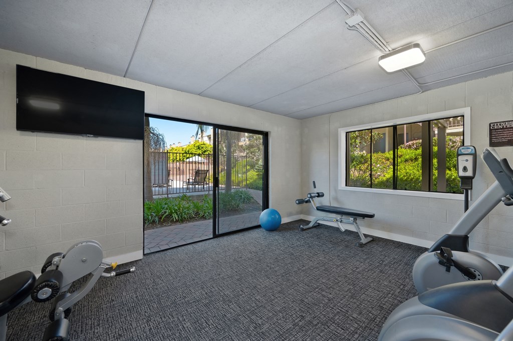 the exercise room is equipped with cardio equipment and a tv