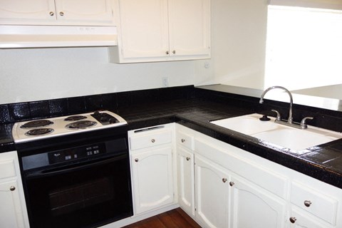 A black and white kitchen with a stove and sink.