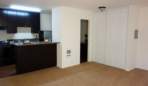 A kitchen with black cabinets and a white door.