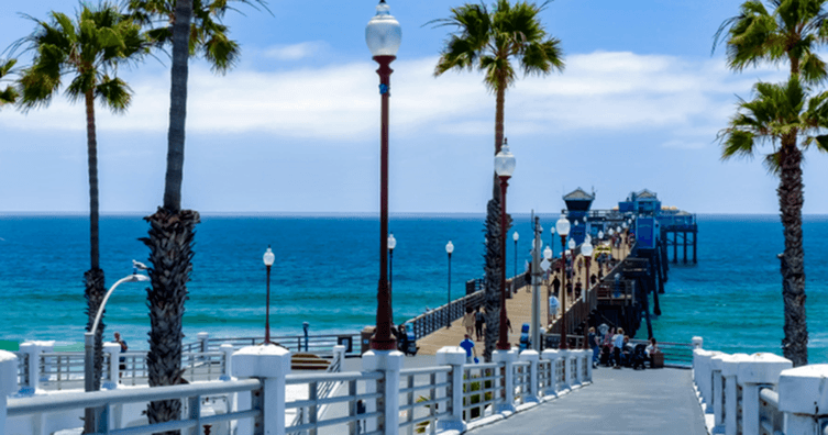 a boardwalk with palm trees on one side and the ocean on the other