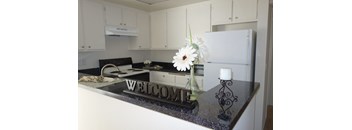 One bedroom one bath apartment floorplan