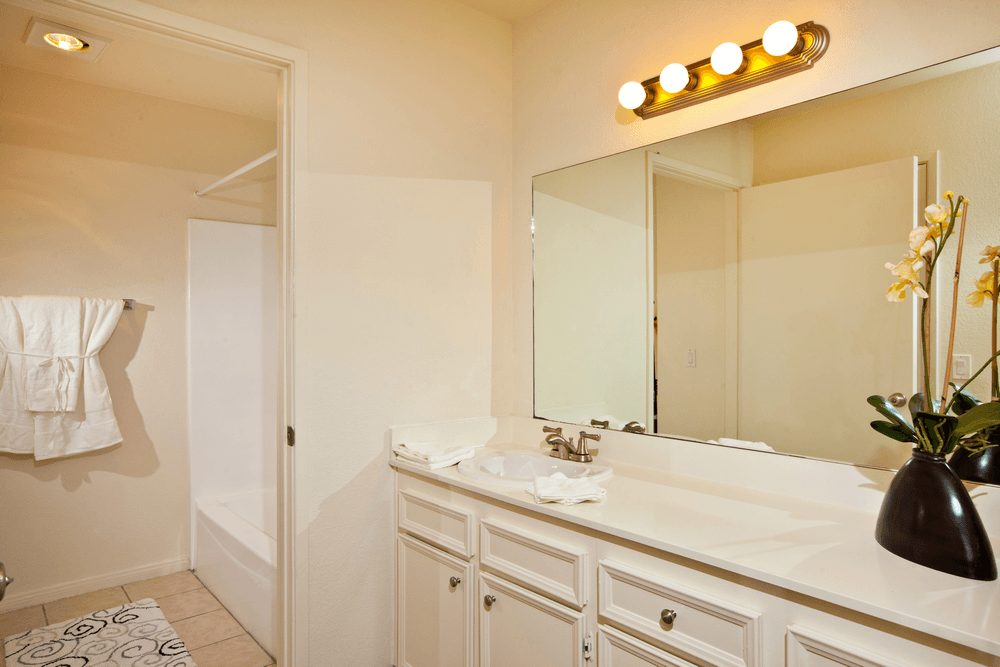 a bathroom with a sink and a mirror and a shower