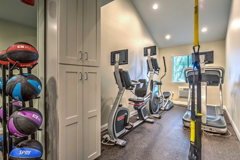A home gym with exercise equipment and a row of exercise balls on the wall.