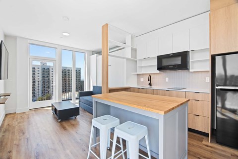 800 B Avenue Studio-2 Beds Apartment for Rent