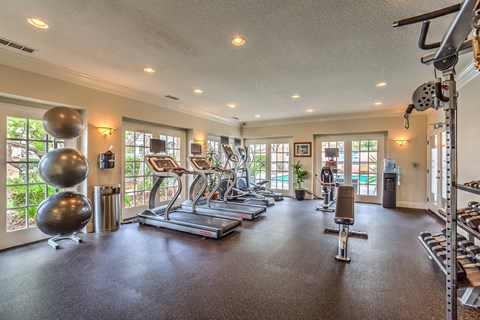 A spacious gym with treadmills, exercise balls, and weightlifting equipment.