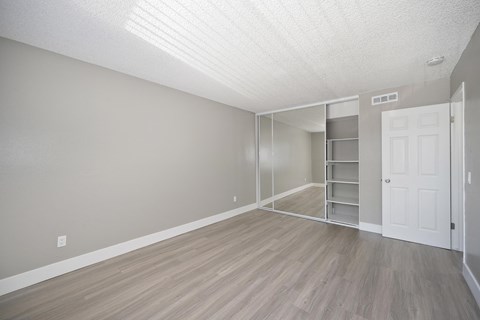 Bedroom with vinyl flooring, gray walls, and a mirrored sliding closet with shelving.