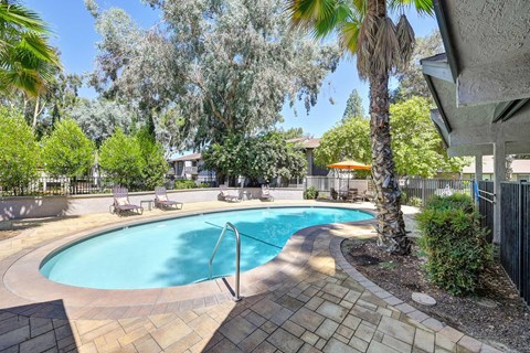 Pinewood's pool surrounded by trees and lounging chairs.