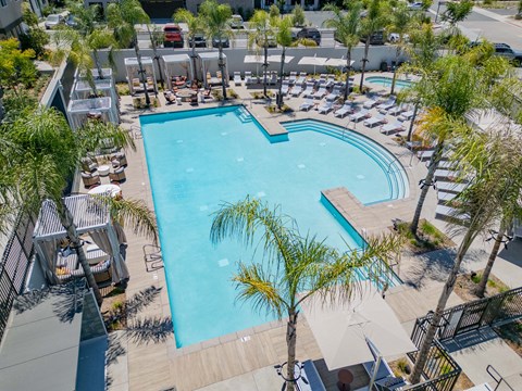 Aerial view of a modern swimming pool area featuring a large rectangular pool surrounded by palm trees and lounge chairs. There are cabanas and umbrellas along the edges, with a separate spa section. The setting is bright and inviting, ideal for relaxation and leisure.