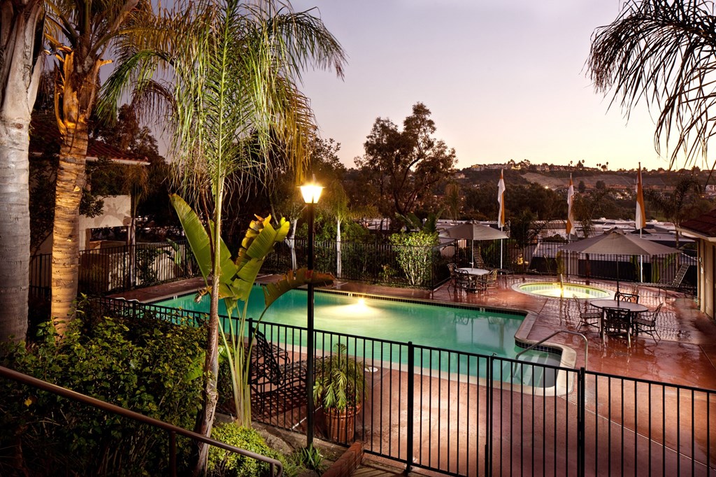 a large swimming pool surrounded by palm trees and a black metal fence