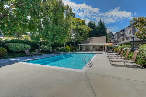 A swimming pool surrounded by trees and lounge chairs.