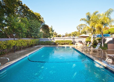 A large blue swimming pool surrounded by trees and a fence.