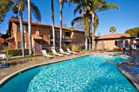 A swimming pool with chaise lounge chairs and palm trees