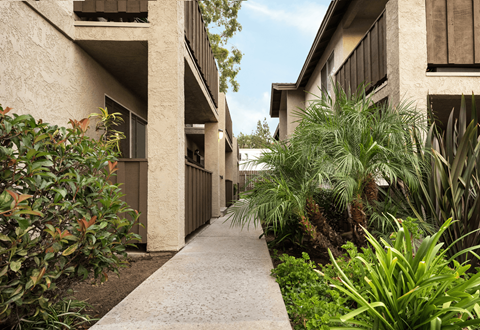 A concrete pathway leads between two rows of buildings.