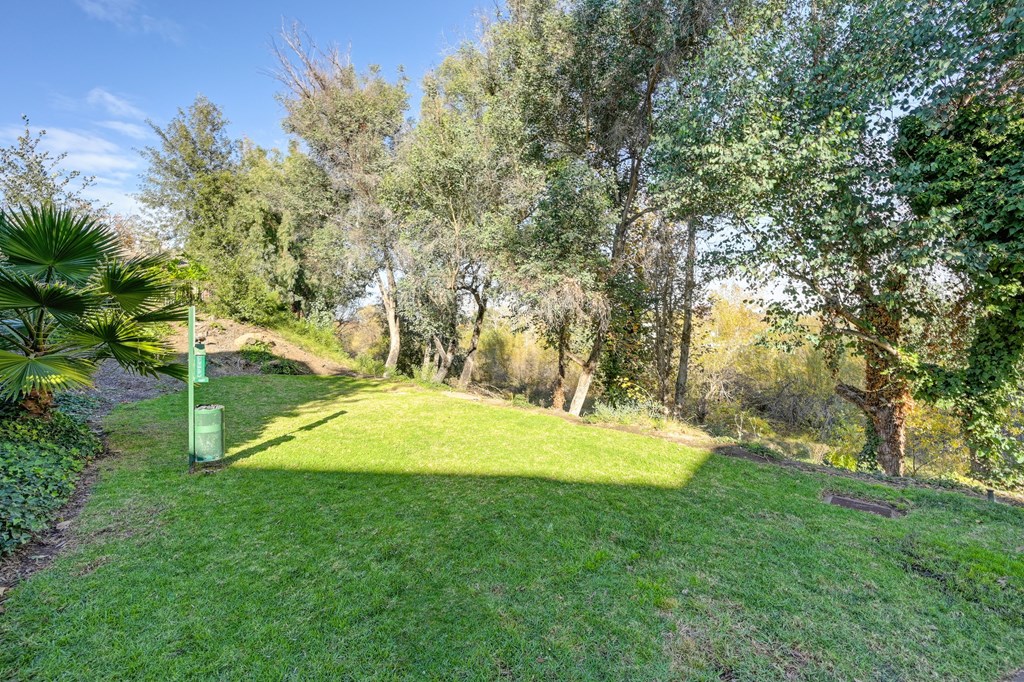 Pet area at rear of property walkway