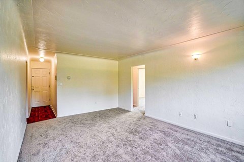 A room with a carpeted floor and two doors.