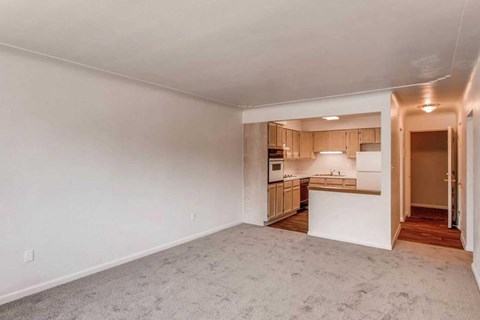 A spacious living area with a kitchen in the background.