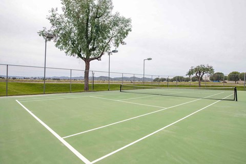 The Tennis and/or Pickleball court.