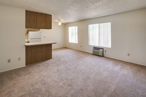 A room with a carpeted floor and a window with blinds.