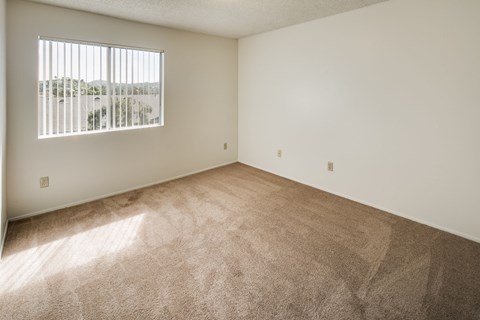A room with a carpeted floor and a window letting in sunlight.