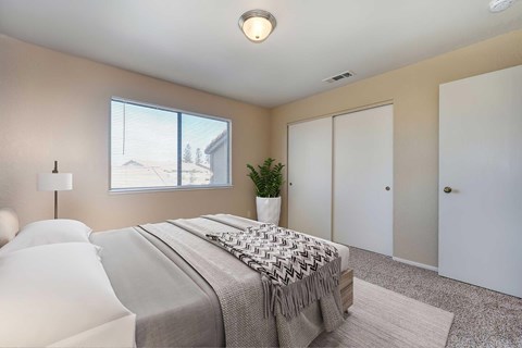 The bedroom of the classic interiors with carpet, a sliding closet door, and a window. The room is staged with a plant, a bed, and a rug.