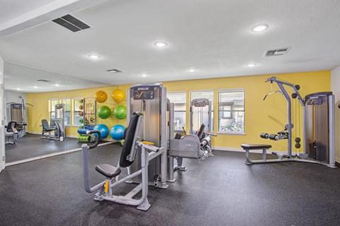 A gym with a variety of equipment including a leg press machine, and a chest press machine