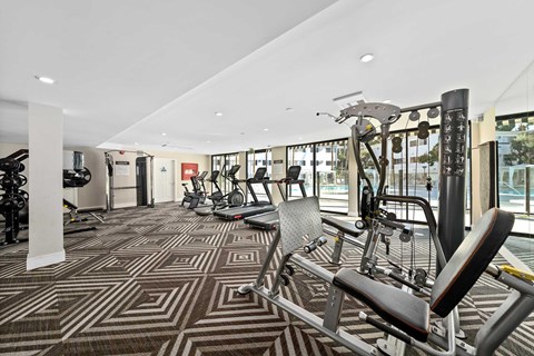 A fully equipped gym with a variety of equipment.