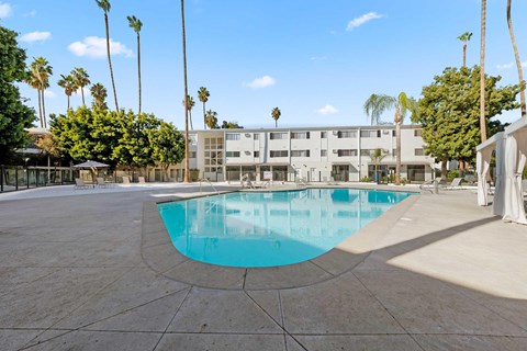 A swimming pool in a courtyard surrounded by palm trees and the community's white building.