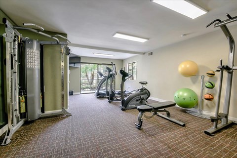 A gym with a variety of equipment including a treadmill, weights, and a bench.