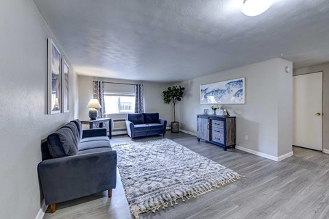 A living room with a grey couch and a rug.
