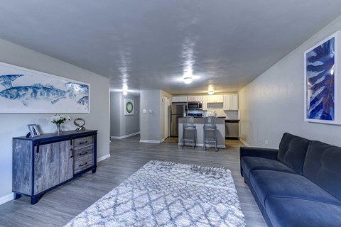 A living room with a dark blue couch and a patterned rug. A kitchen with an island is in the back.