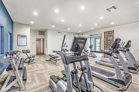 A gym with treadmills and elliptical machines.