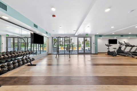 The Elinor's gym with a variety of equipment including treadmills, weights, and exercise machines.