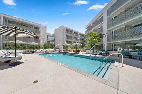 The community swimming pool surrounded by sun loungers and umbrellas on a sunny day.