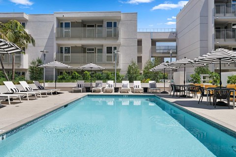 The Elinor's swimming pool surrounded by lounge chairs and umbrellas.