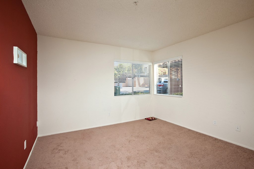 a bedroom with two windows and a carpeted floor