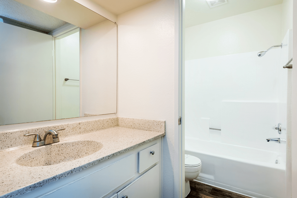 a bathroom with a sink and a toilet
