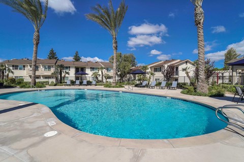 A swimming pool surrounded by palm trees and the apartment community.