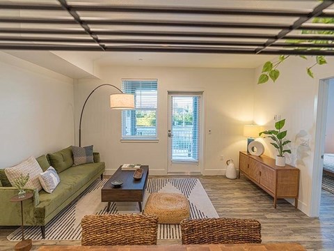 A living room with a green couch, a coffee table, and a rug.