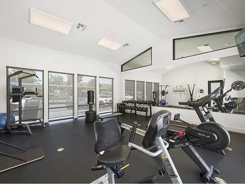 A gym with a treadmill, exercise bike, and other equipment.