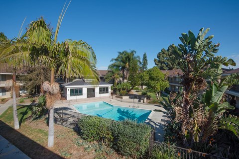 The gated pool area surrounded by trees and the gym building in the background.